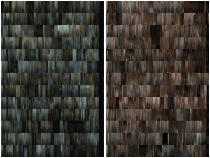 Fig 2. Left: The DNA profile of House of Cards, season one. Right: The DNA profile for Mad Men, season one.