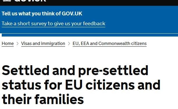 IN SCHMEXIT WONDERLAND: A MERRY CHRISTMAS FROM AN EU27 HIGHER EDUCATION (AND NHS AND SOCIAL WORK) WORKER by Elke Weissmann