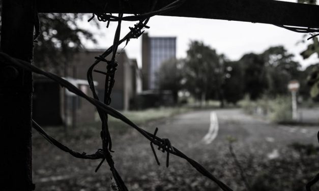 IN SEARCH OF A ‘REAL’ UNIVERSITY by Richard Hewett