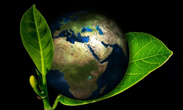 CfP: International symposium “(Re)thinking Earth: From Representations of Nature to Climate Change Fiction” April 22-23, 2020 @National Library of Portugal, Lisbon (POR). Deadline: March 15, 2020