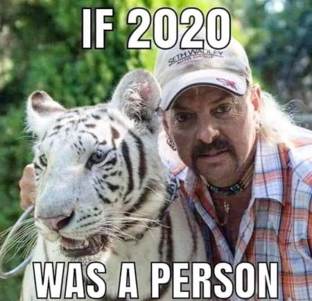 Fig. 5: "If 2020 was a person" meme