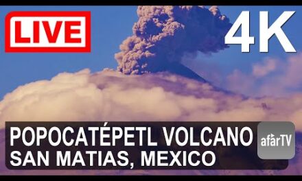 The Weather Where You Aren’t: Webcams and Weather TV by Melissa Beattie